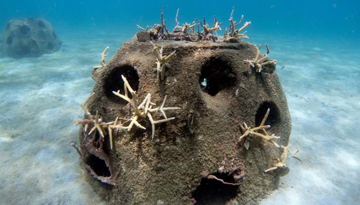 해저 인공 리프 구조물